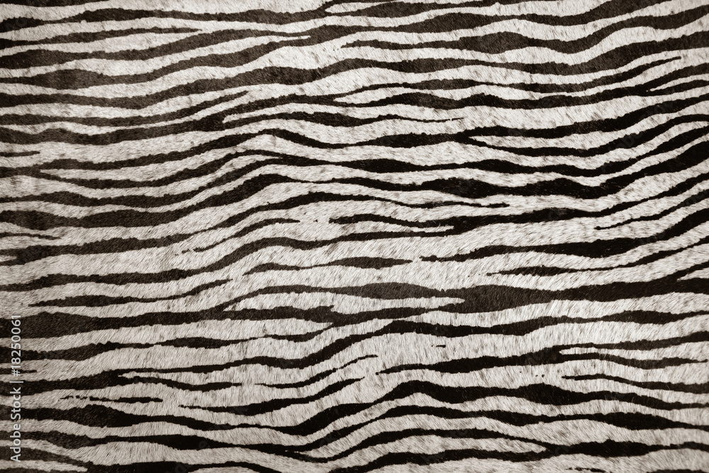 imitation zebra leather texture background imitation zebra leather texture background