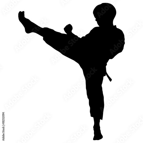 boy karate kick mae gery photo