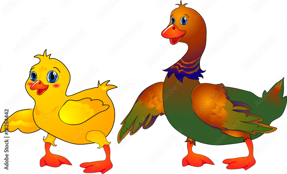 Cartoon duck & duckling Cartoon duck & duckling