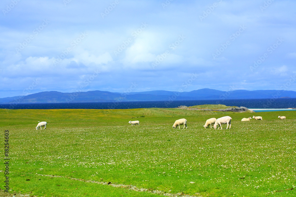 Iona, Scottish Island