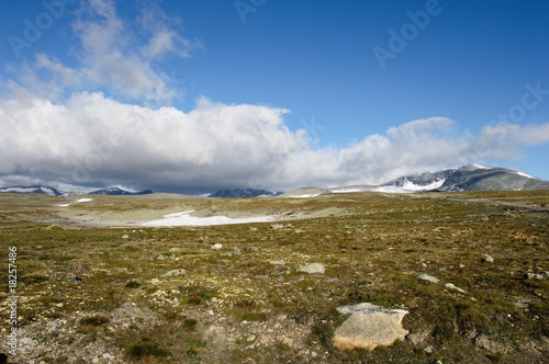 Nationalpark Dovrefjell © Wolfgang Kruck