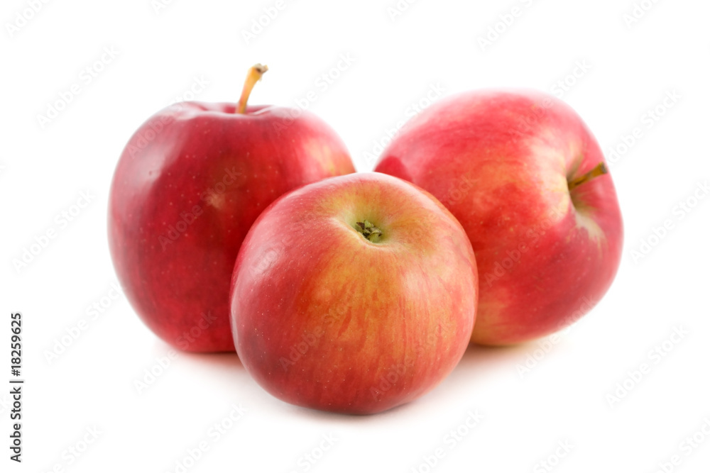 apples red isolated on white