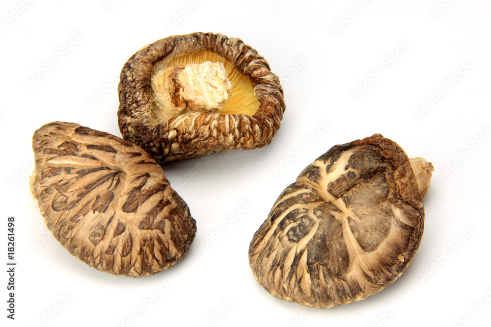 dried shiitake dried shiitake