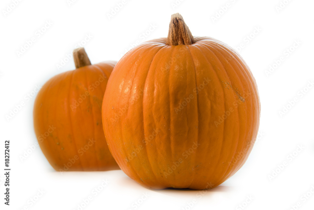 Obraz premium calabazas
