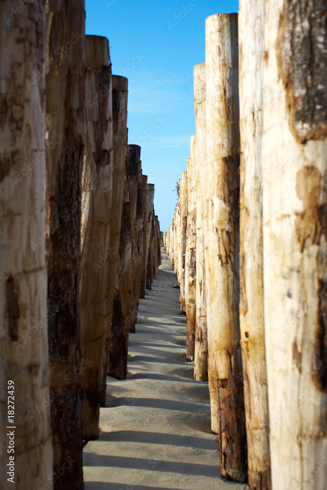 Fototapeta premium Groynes at the beach