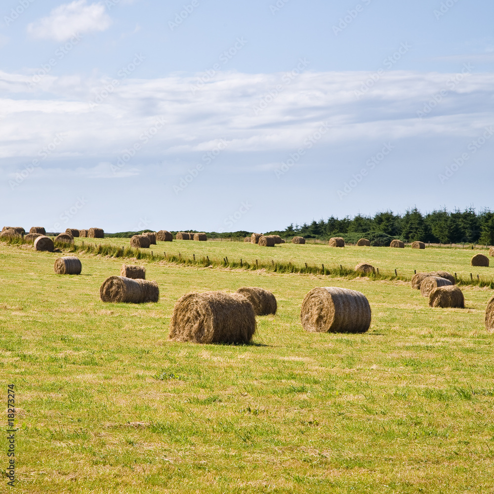 Hay bales