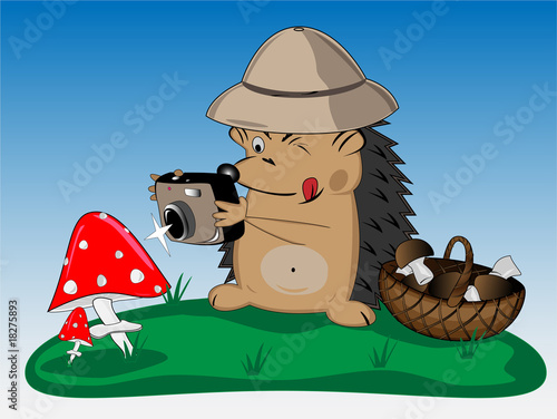 hedgehog and mushrooms
