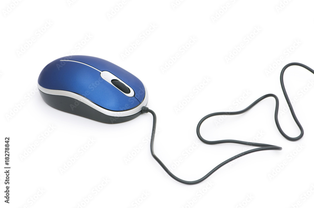 Computer mouse isolated on the white background Computer mouse isolated on the white background