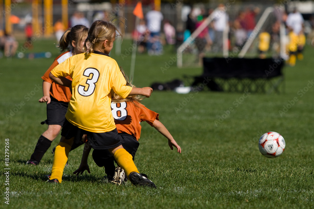 Obraz premium Loose Ball