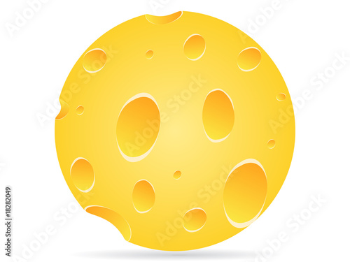 piece of cheese vector illustration