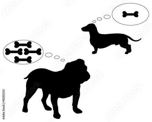 Englische Bulldogge und Dackel träumen von Knochen