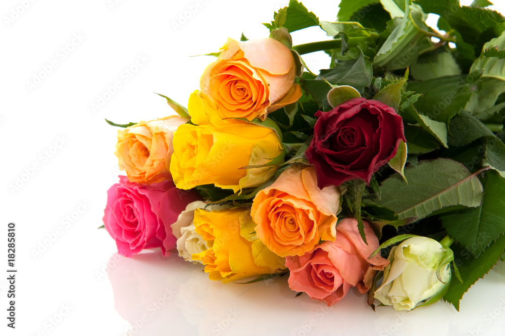 colorful roses colorful roses