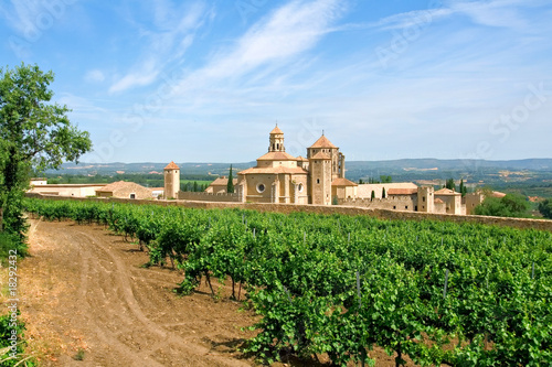 Monastery of Santa Maria de Poblet and vineyards photo