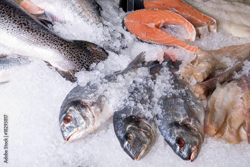 fish
