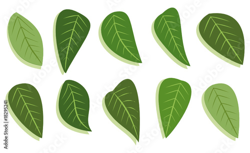 leafs set © Oculo