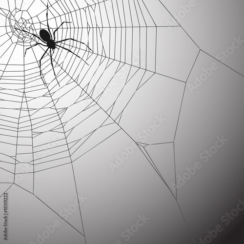 Spiderweb Background