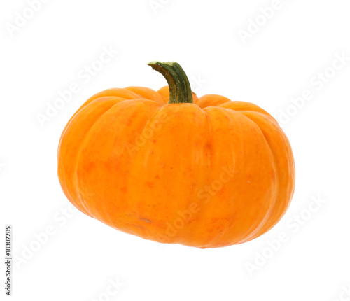 Thanksgiving pie pumpkin