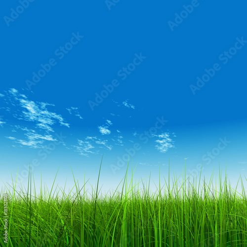 High resolution grass and sky background