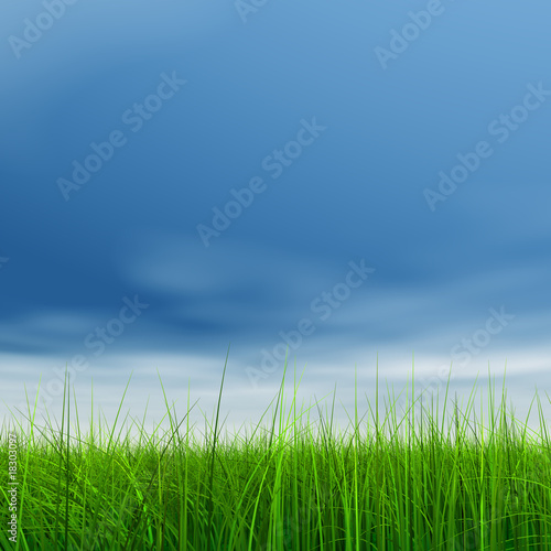 High resolution grass and sky background