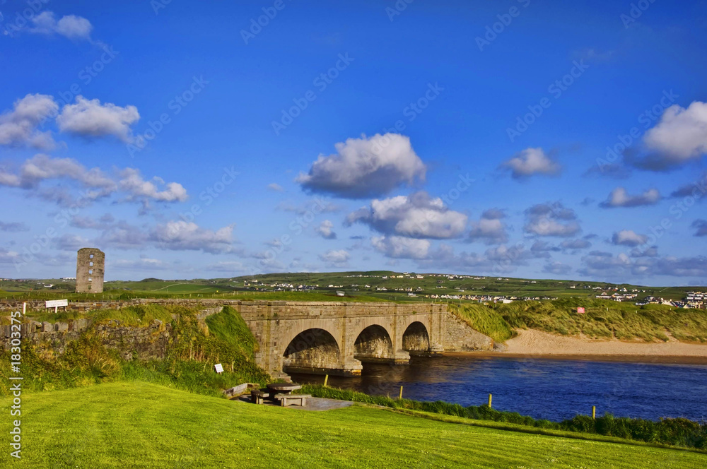 Fototapeta premium capture of vibrant nature landscape