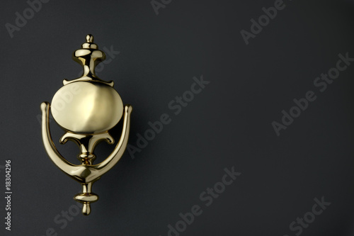 Door knocker