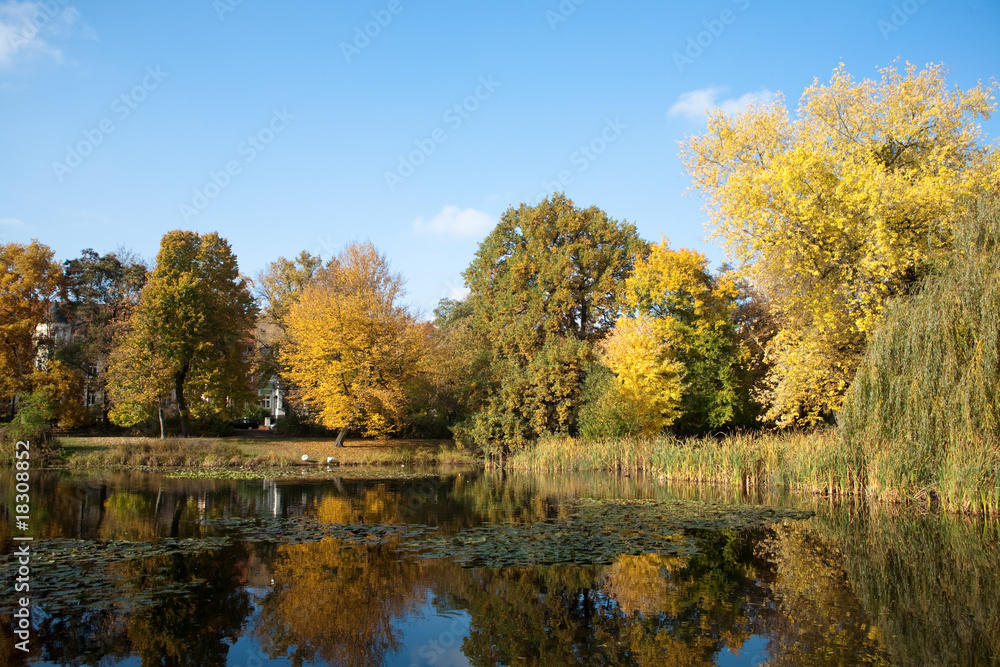 See im Park im Herbst