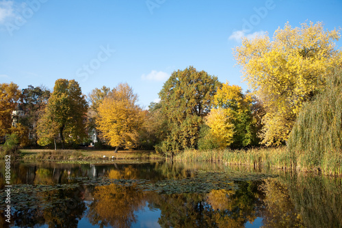 See im Park im Herbst