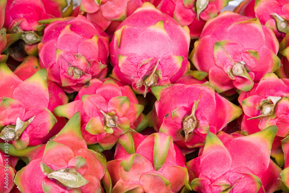 Dragon fruit Dragon fruit