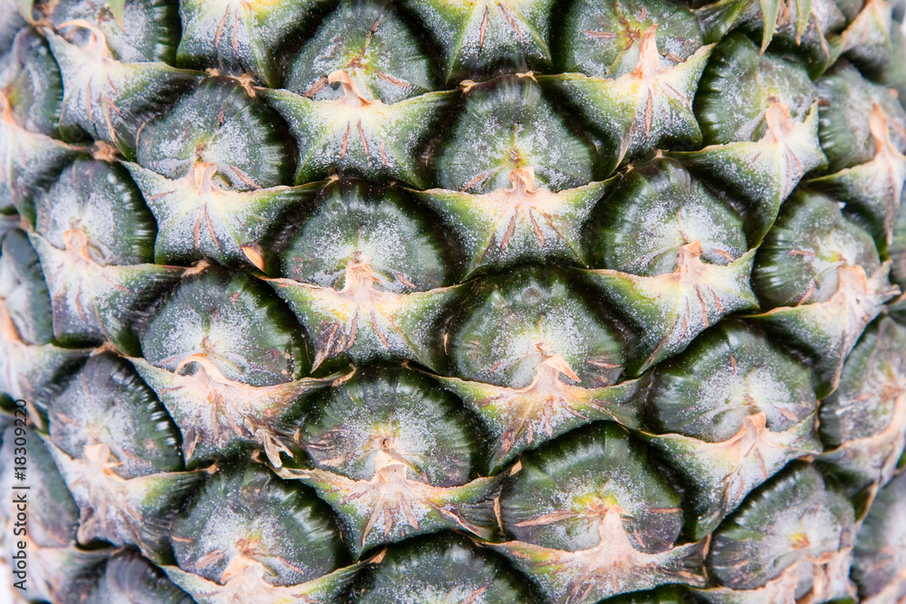 Pineapple bark Pineapple bark