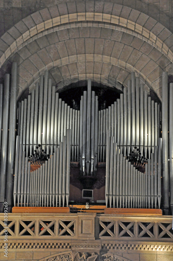 Obraz premium orgue de Monaco