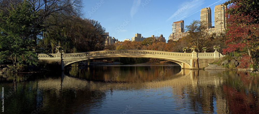 bow bridge in Central Park,