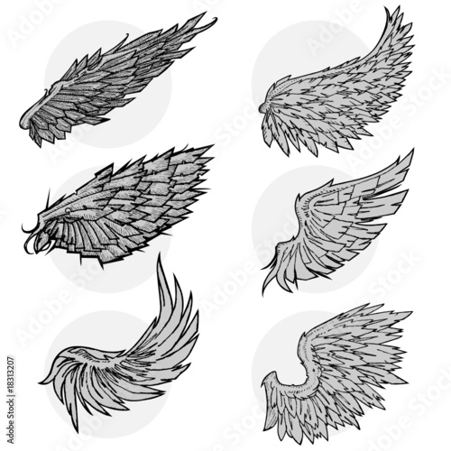 vector wing set