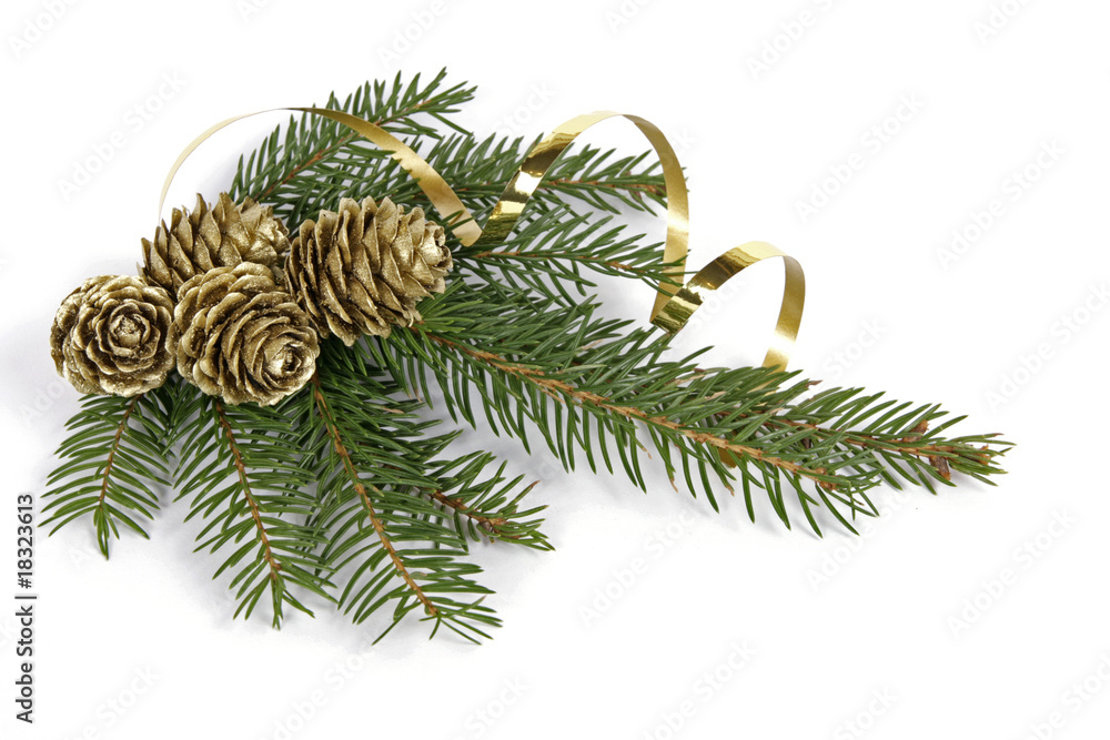 Twig of the spruce decorated with cones Twig of the spruce decorated with cones