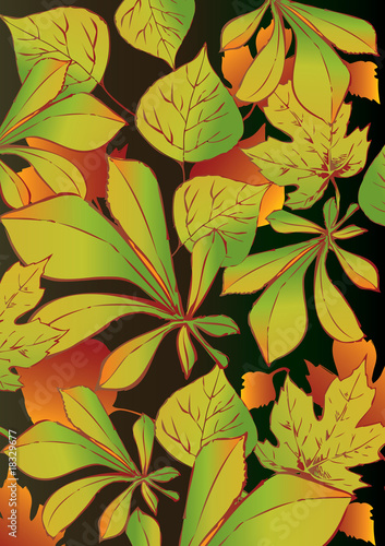 Сollection of leaves on a brown background.