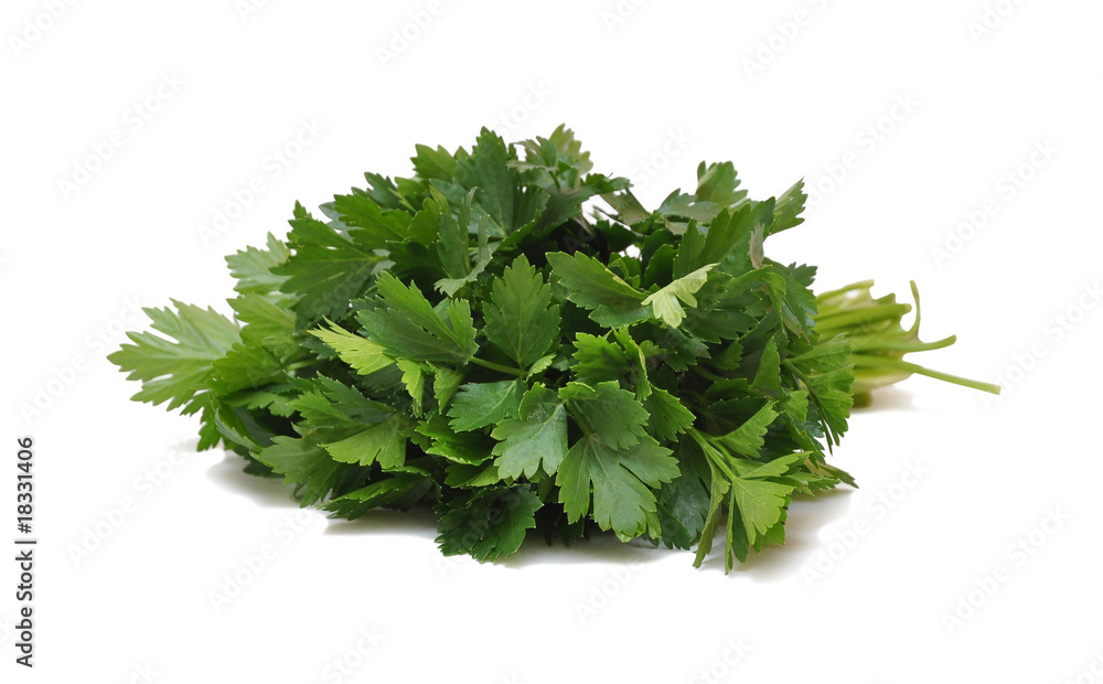 Fototapeta premium parsley