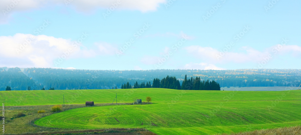 Autumn trees and meadow with green lush grass