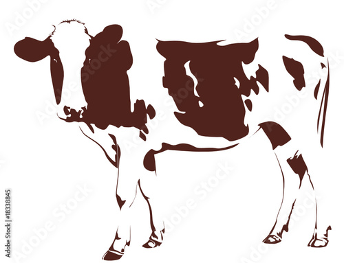 cow