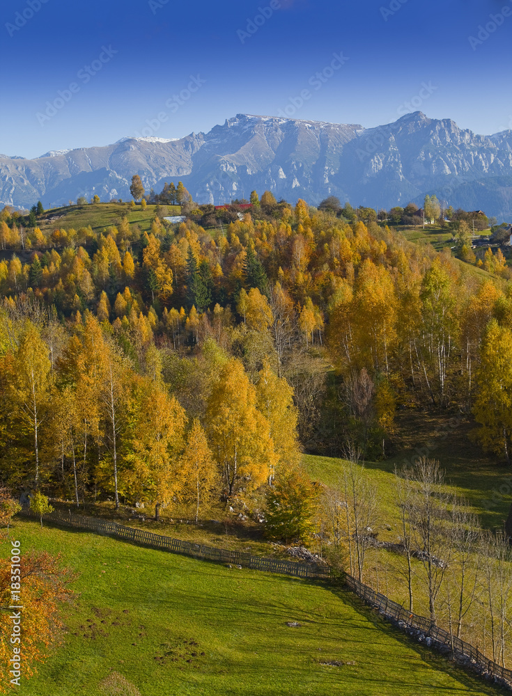 Autumn foliage and deep blue sky in the mountains