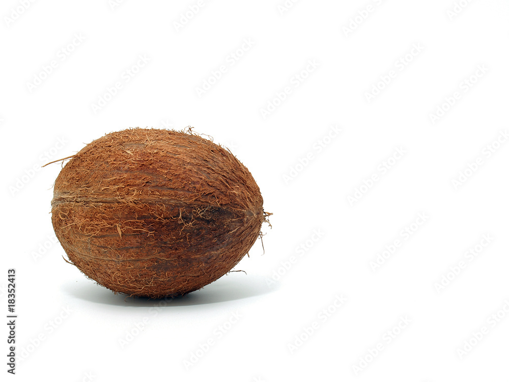 Coconut Coconut