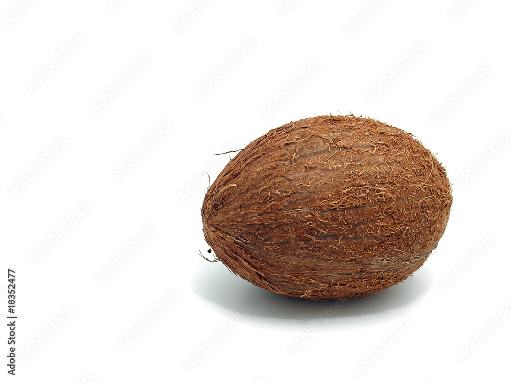 Coconut Coconut