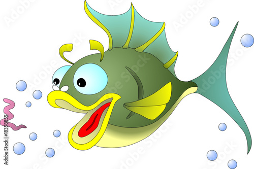 Photography mad fish