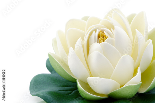 Photographie Fleur de lotus