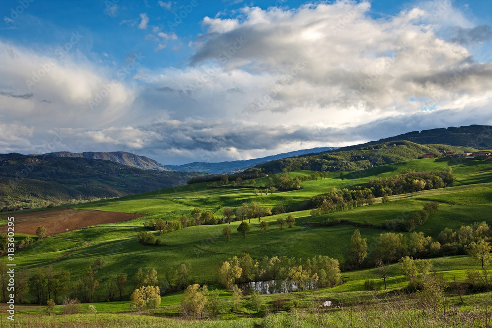 Obraz premium Primavera in collina