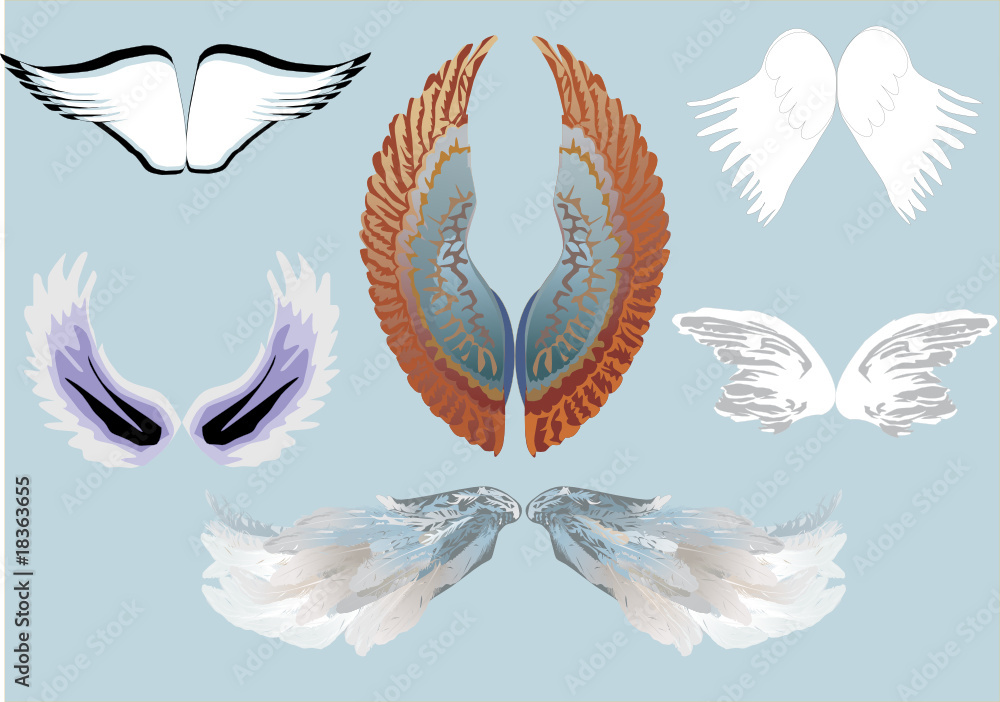 six wing pairs six wing pairs
