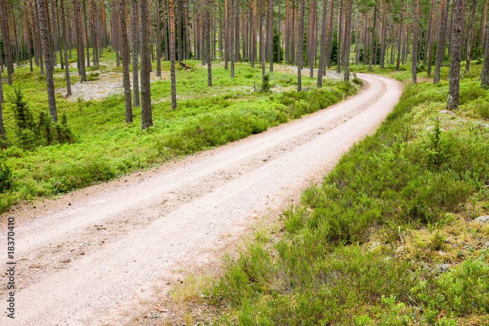 Naklejka premium Gravel road