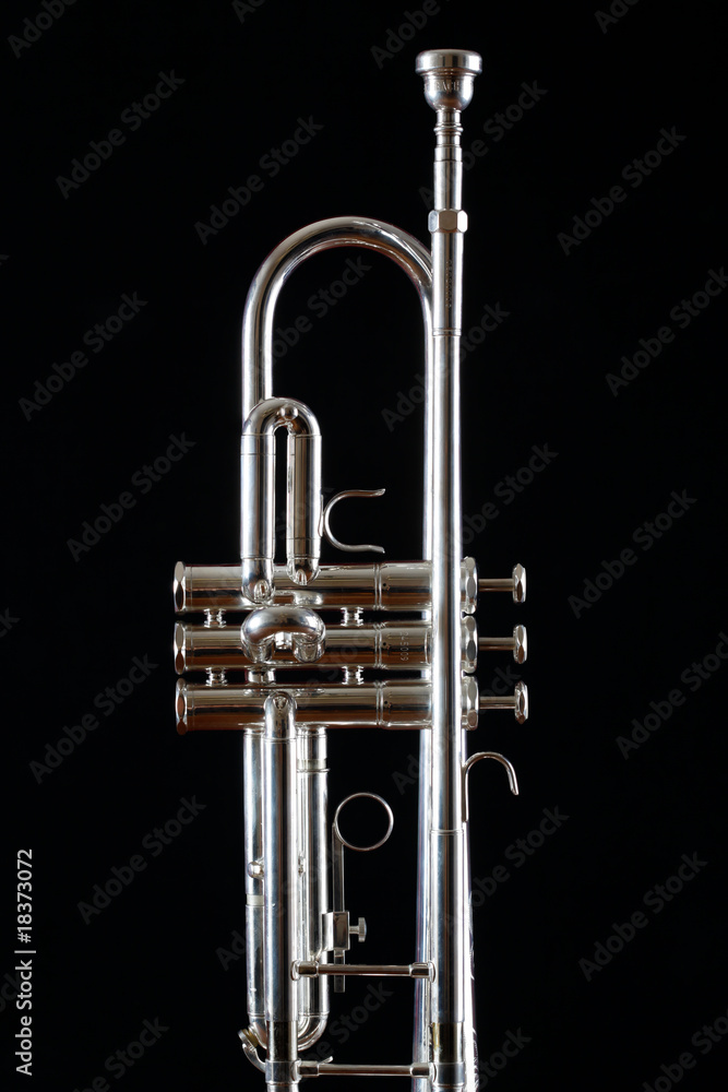 Fototapeta premium trumpet detail on black