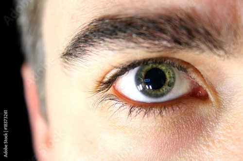 Auge rechts frontal