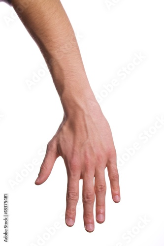 Ganze Hand