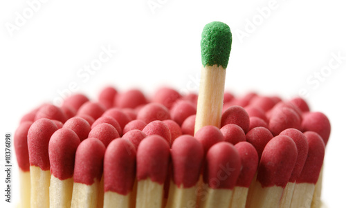 Green matchstick among red ones, out of the crowd photo