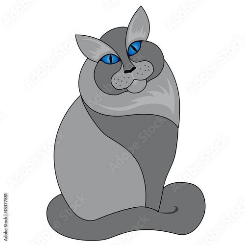 Gatto Occhi Blu